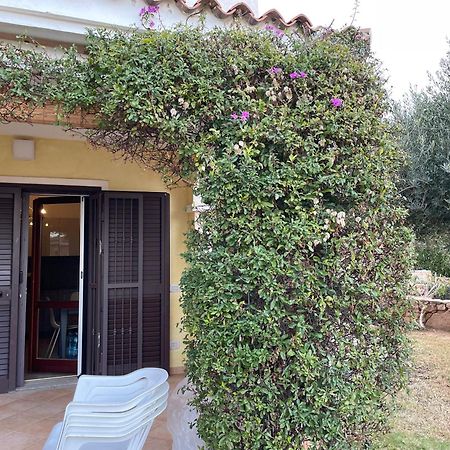 Tavolara Paradise Home 波尔图圣保罗 外观 照片