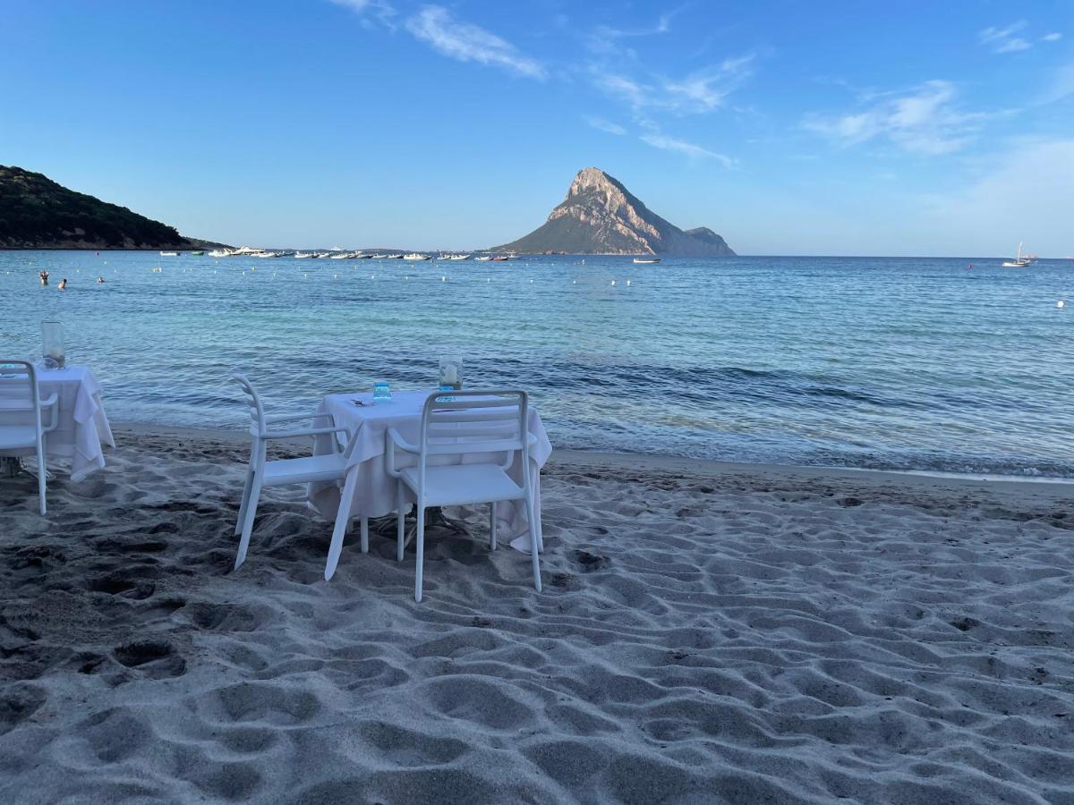 Tavolara Paradise Home 波尔图圣保罗 外观 照片